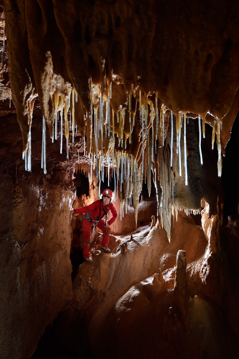 Grotte de Saint-Marcel d'Ardèche (réseau des concrétions) - Fistuleuses dans la salle concrétionnée finale